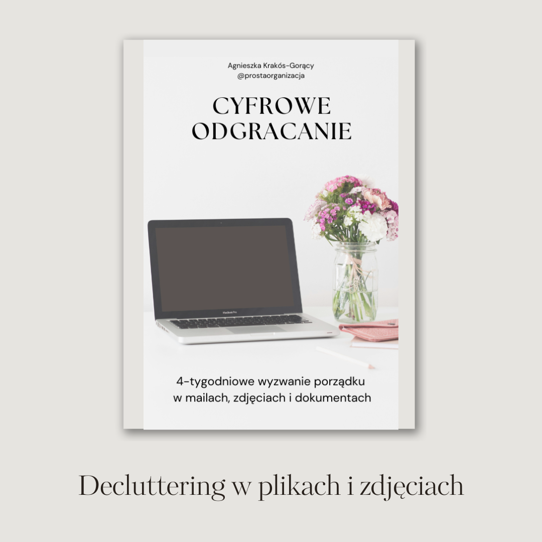 Program "Cyfrowe Odgracanie"